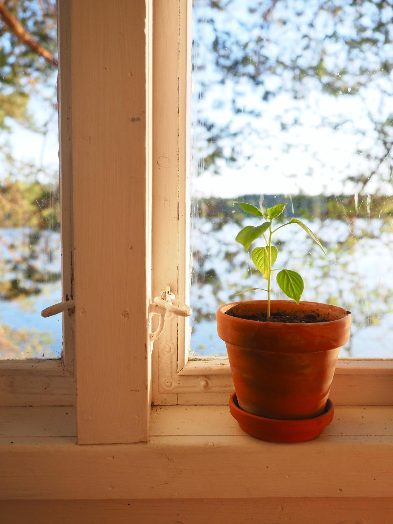 Energiatehokas mökkeily Laiturilla